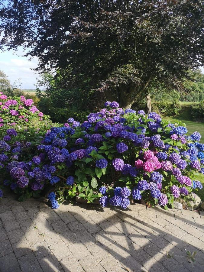 Hvirrekaergaard, Midt I Naturen. Hirtshals Esterno foto